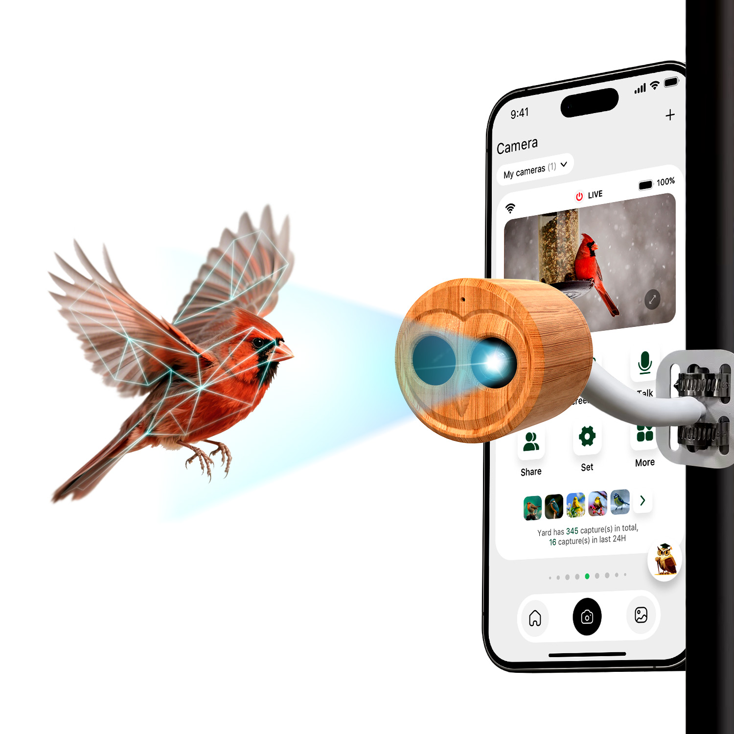 4K Smart Bird Feeder With Came - Power Outdoor recension och pris