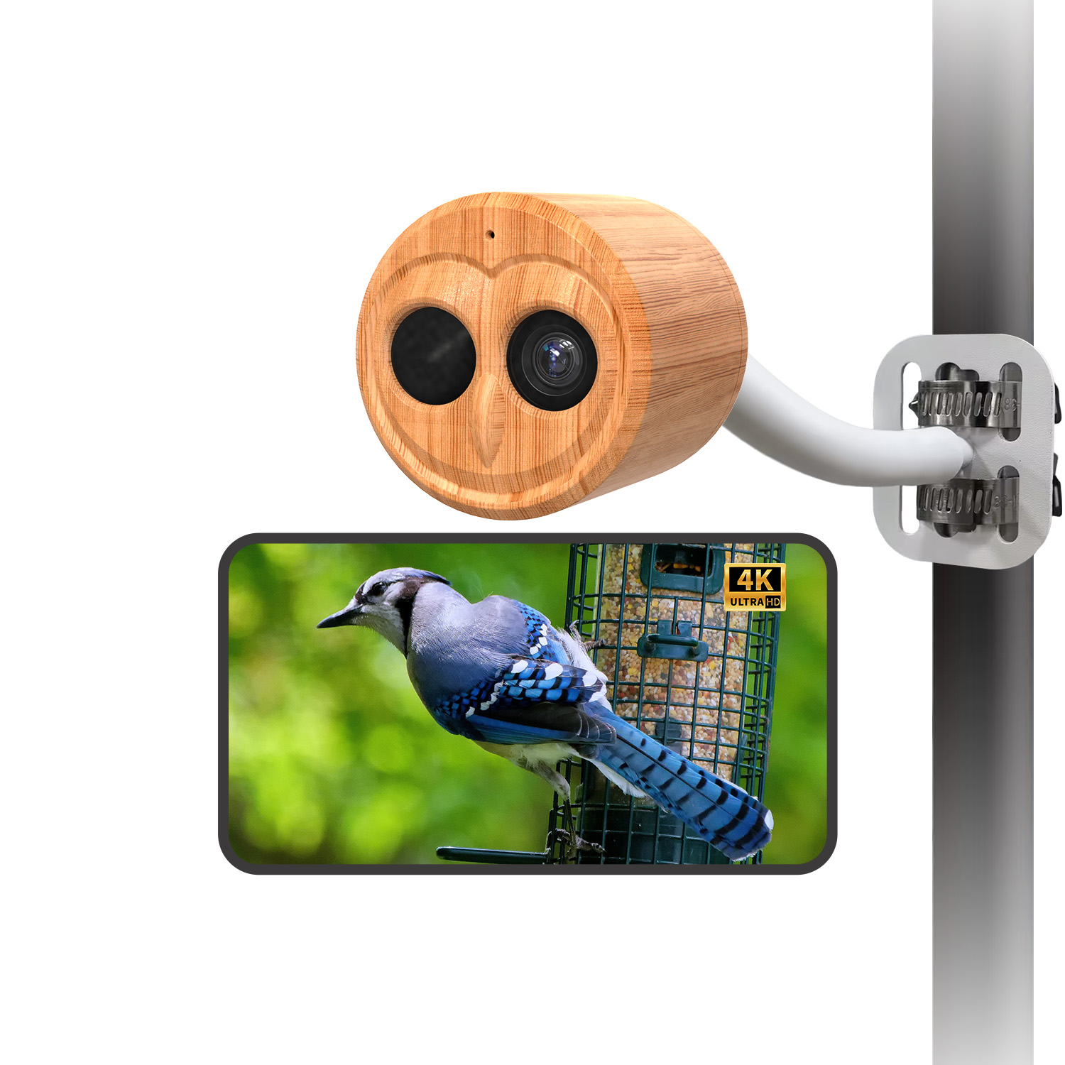 4K Smart Bird Feeder With Came - Power Outdoor recension och pris